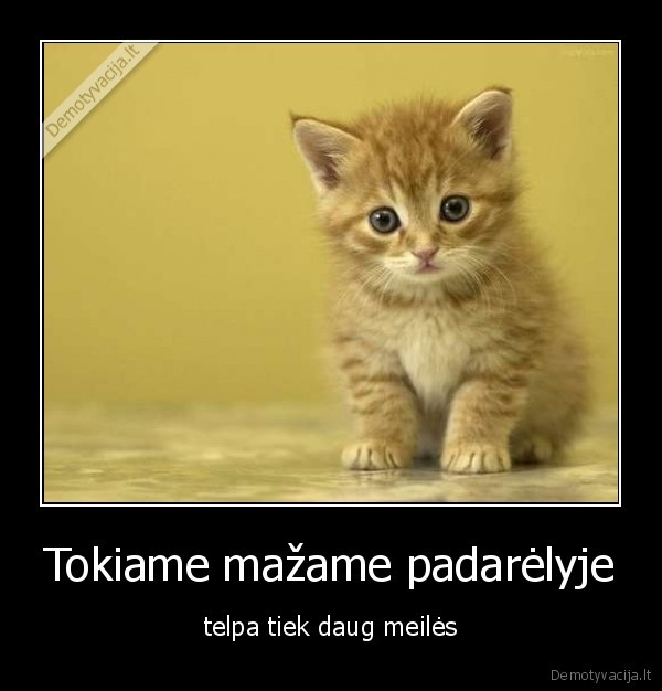Tokiame mažame padarėlyje - telpa tiek daug meilės