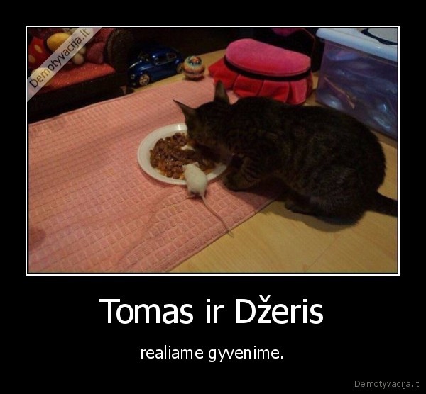 Tomas ir Džeris - realiame gyvenime.