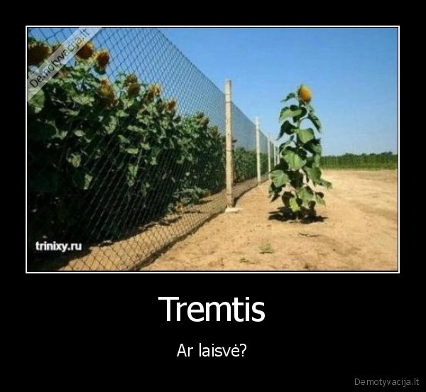 Tremtis - Ar laisvė?