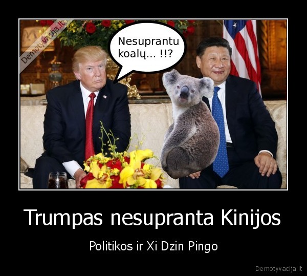 Trumpas nesupranta Kinijos - Politikos ir Xi Dzin Pingo