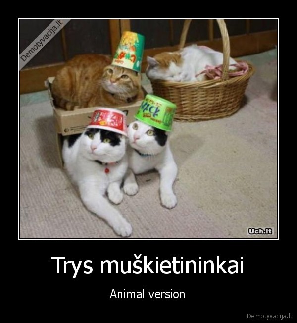 Trys muškietininkai - Animal version