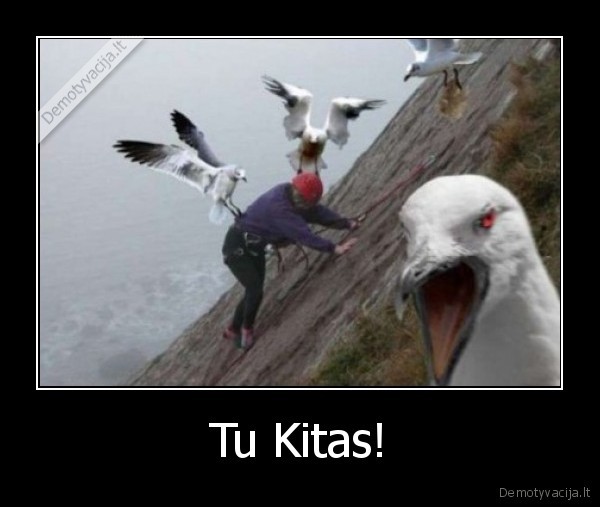 Tu Kitas! - 