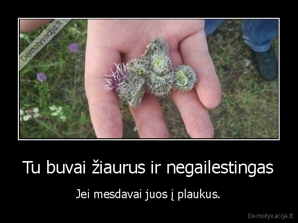 Tu buvai žiaurus ir negailestingas - Jei mesdavai juos į plaukus.