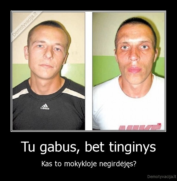 Tu gabus, bet tinginys - Kas to mokykloje negirdėjęs?