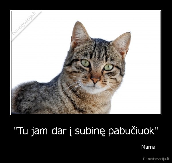 "Tu jam dar į subinę pabučiuok" -                                                                            -Mama