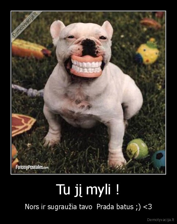 Tu jį myli ! - Nors ir sugraužia tavo  Prada batus ;) <3