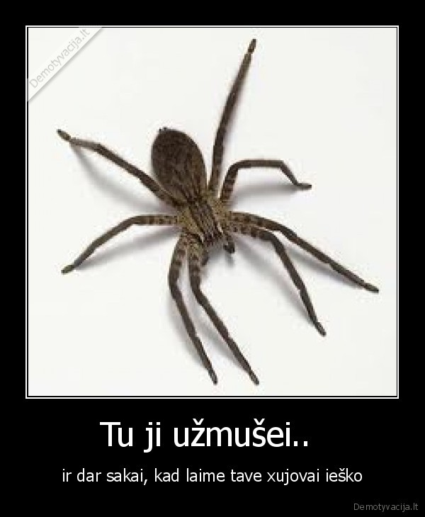 Tu ji užmušei..  - ir dar sakai, kad laime tave xujovai ieško