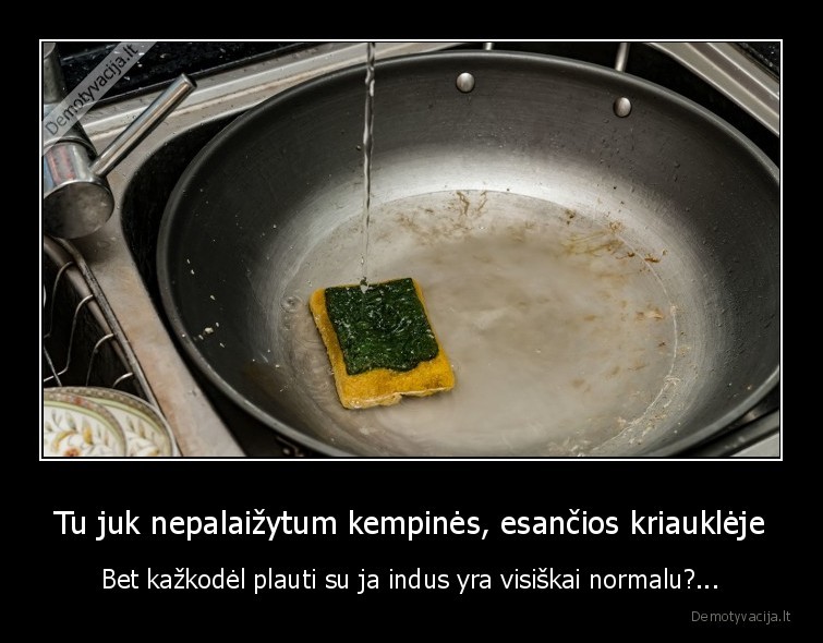 Tu juk nepalaižytum kempinės, esančios kriauklėje - Bet kažkodėl plauti su ja indus yra visiškai normalu?...