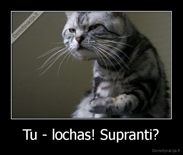 Tu - lochas! Supranti? - 