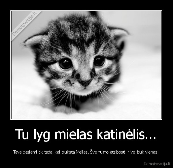 Tu lyg mielas katinėlis... - Tave pasiemi tik tada, kai trūksta Meilės, Švelnumo atsibosti ir vėl būk vienas.