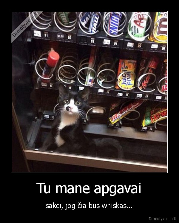 Tu mane apgavai - sakei, jog čia bus whiskas...