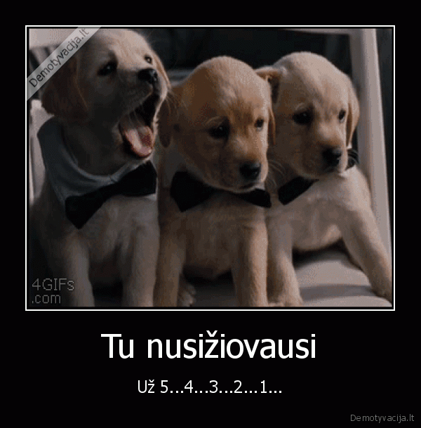 Tu nusižiovausi - Už 5...4...3...2...1...
