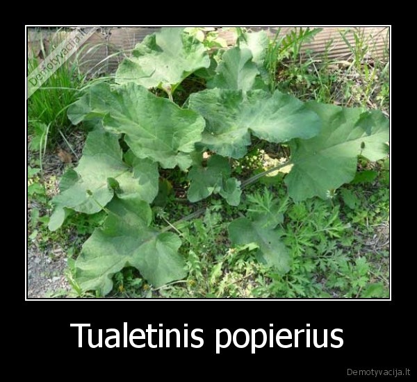 Tualetinis popierius - 