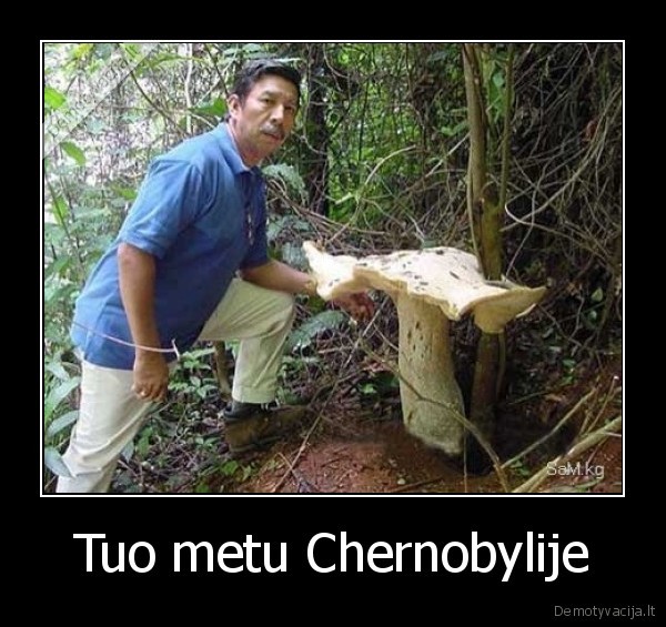 Tuo metu Chernobylije - 