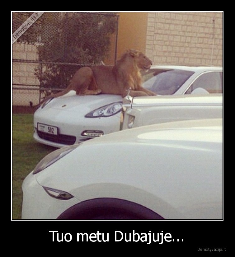 Tuo metu Dubajuje... - 