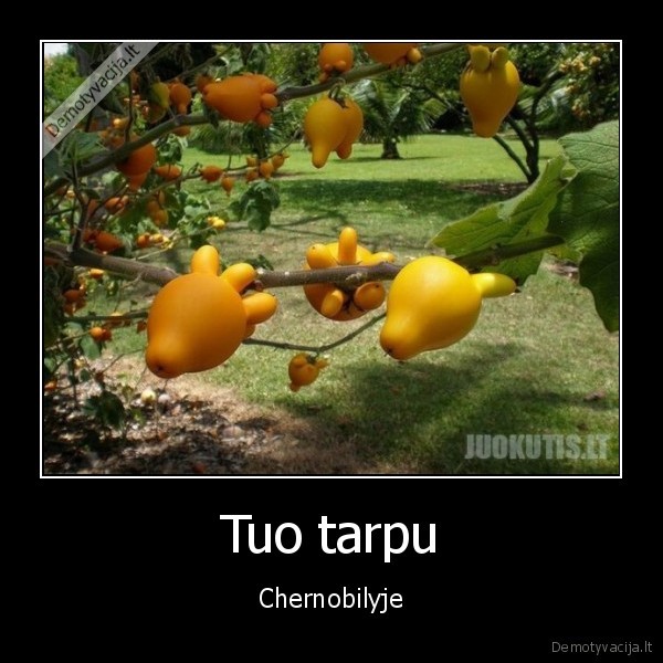 Tuo tarpu - Chernobilyje