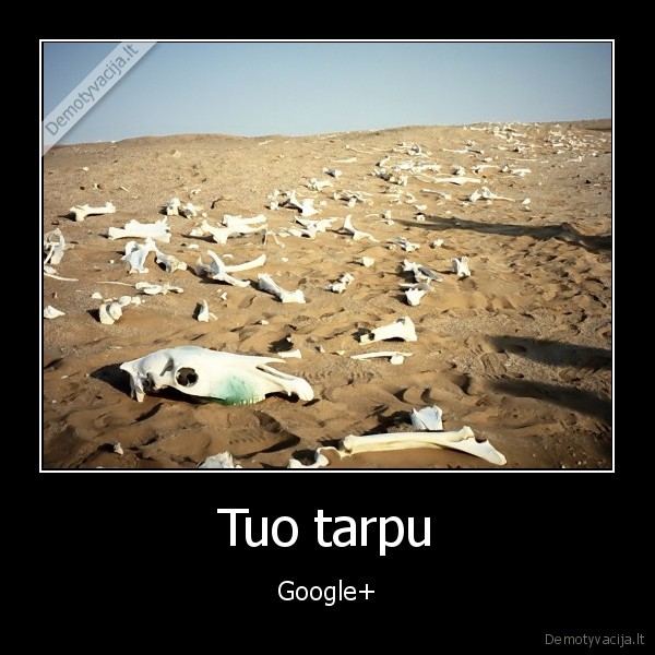 Tuo tarpu - Google+