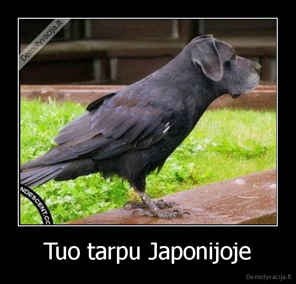 Tuo tarpu Japonijoje - 