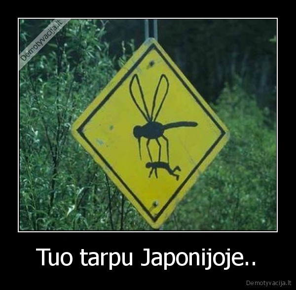 Tuo tarpu Japonijoje.. - 