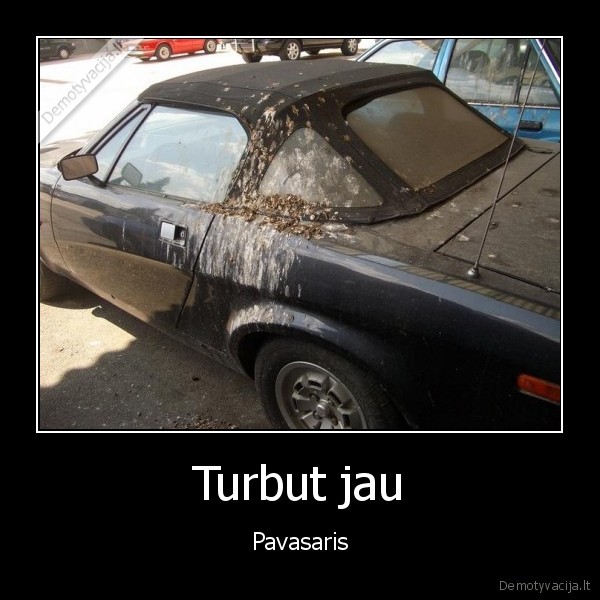 Turbut jau - Pavasaris