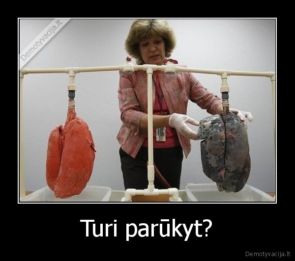 Turi parūkyt? - 