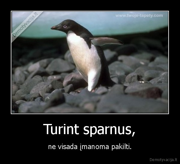 Turint sparnus, - ne visada įmanoma pakilti.