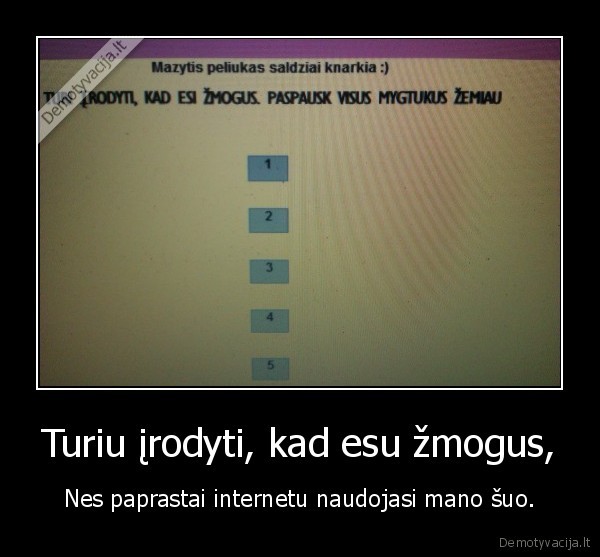 Turiu įrodyti, kad esu žmogus, - Nes paprastai internetu naudojasi mano šuo.