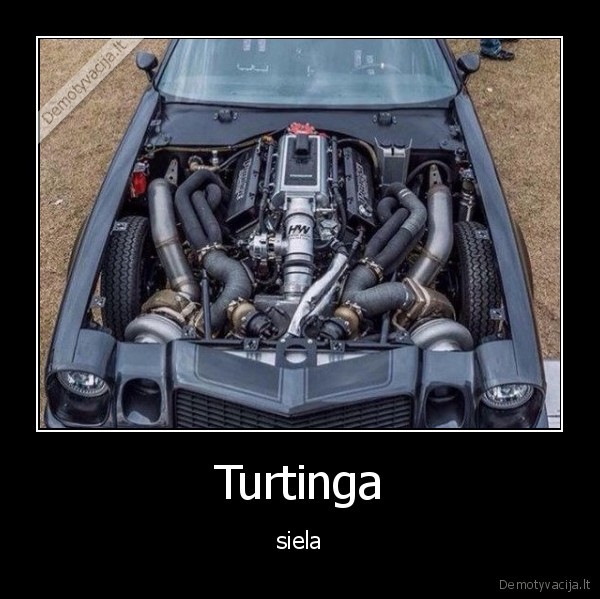 Turtinga - siela