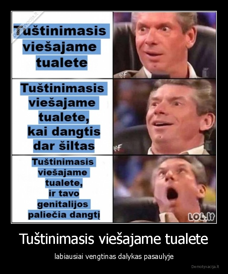 Tuštinimasis viešajame tualete - labiausiai vengtinas dalykas pasaulyje