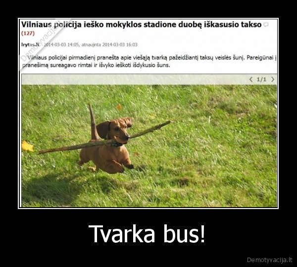 Tvarka bus! - 