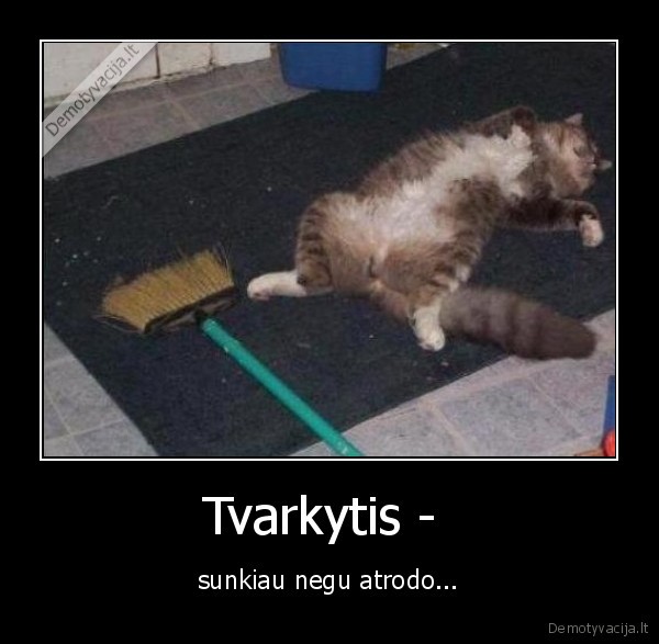 Tvarkytis -  - sunkiau negu atrodo...