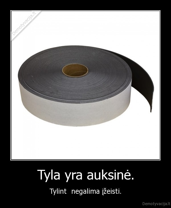 Tyla yra auksinė. - Tylint  negalima įžeisti.