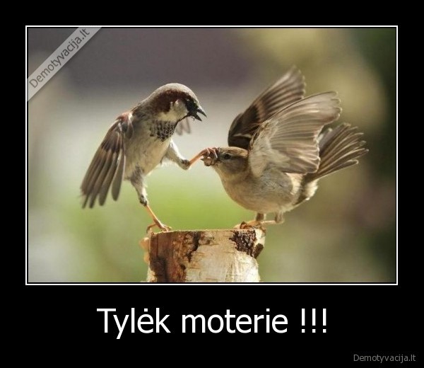 Tylėk moterie !!! - 