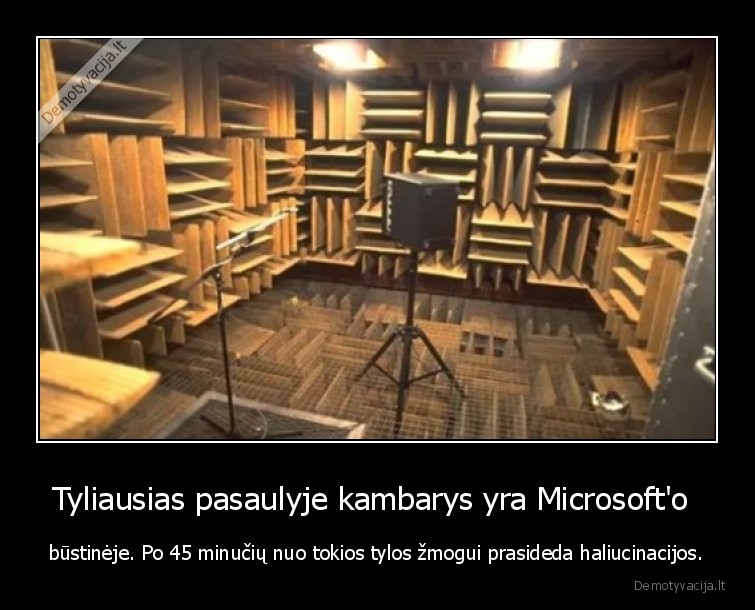 Tyliausias pasaulyje kambarys yra Microsoft'o  - būstinėje. Po 45 minučių nuo tokios tylos žmogui prasideda haliucinacijos.