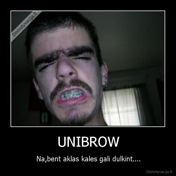 UNIBROW - Na,bent aklas kales gali dulkint....