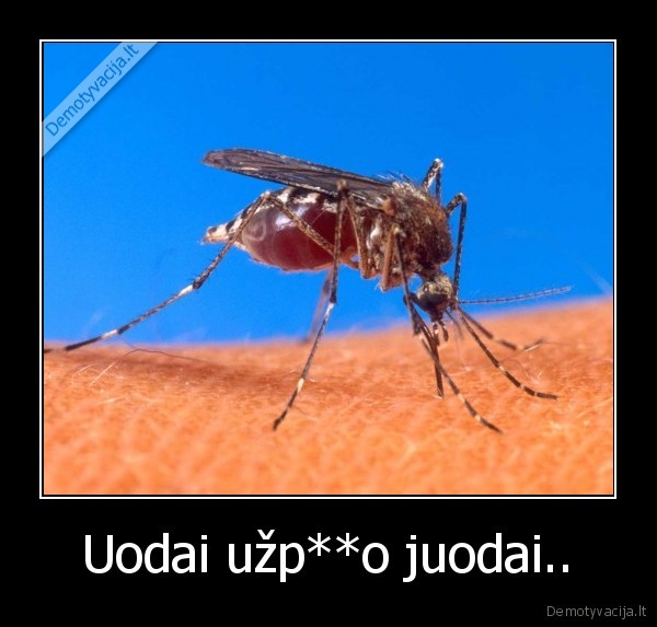 Uodai užp**o juodai.. - 