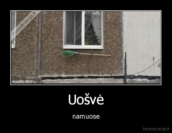 Uošvė - namuose