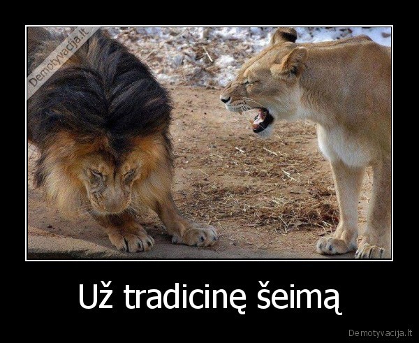 Už tradicinę šeimą - 