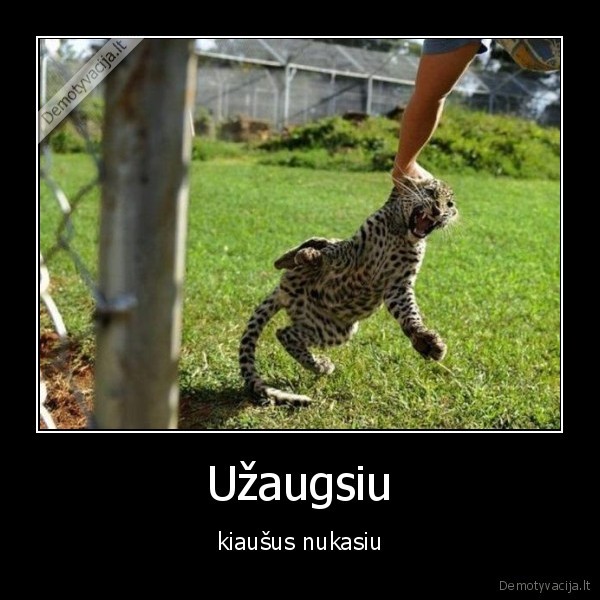 Užaugsiu - kiaušus nukasiu