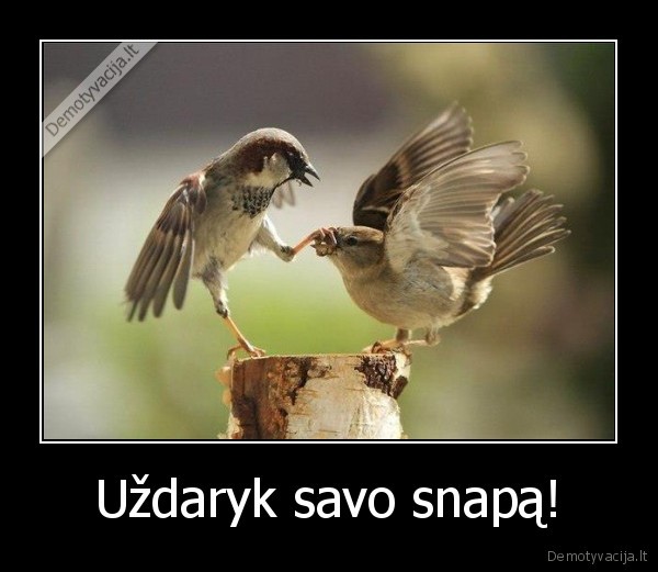 Uždaryk savo snapą! - 