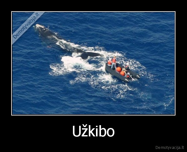 Užkibo - 