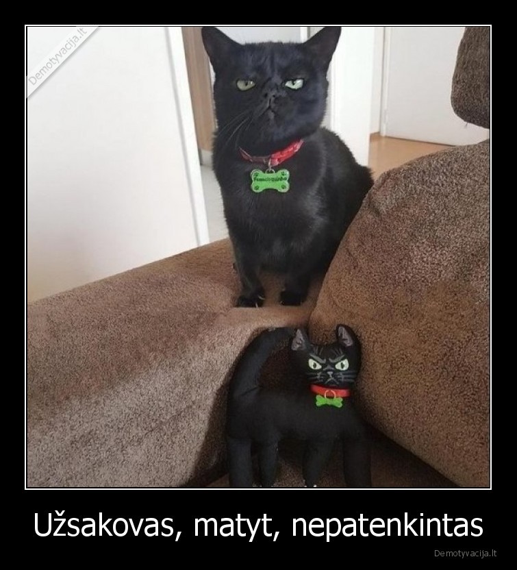 Užsakovas, matyt, nepatenkintas - 