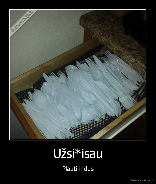 Užsi*isau - Plauti indus