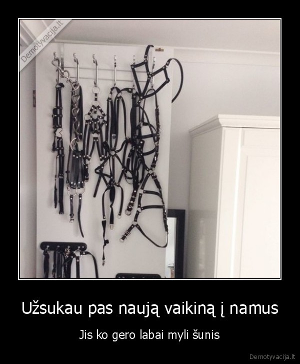 Užsukau pas naują vaikiną į namus - Jis ko gero labai myli šunis