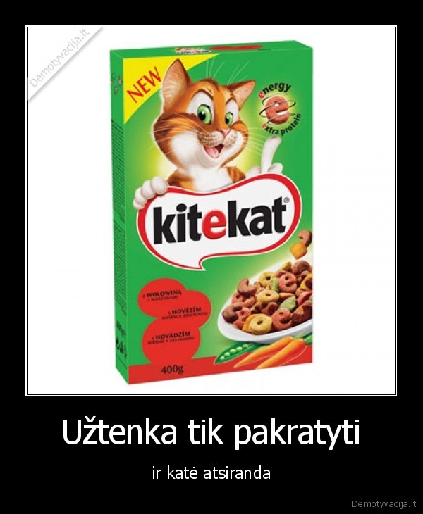 Užtenka tik pakratyti - ir katė atsiranda