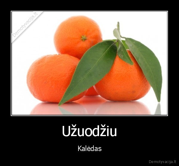 Užuodžiu - Kalėdas