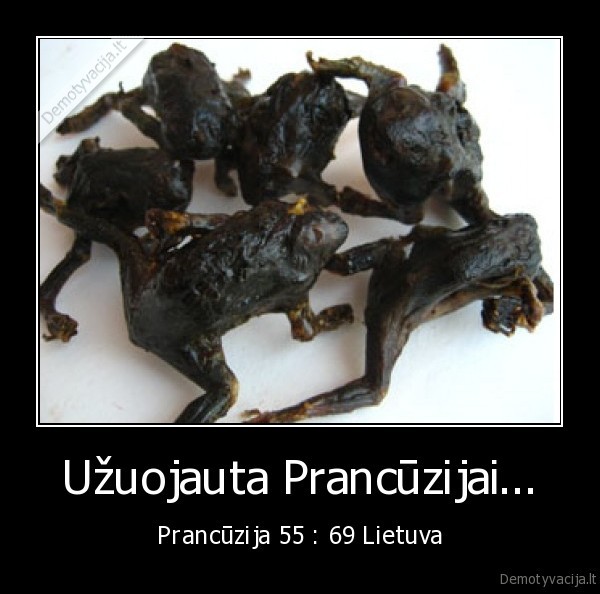 Užuojauta Prancūzijai... - Prancūzija 55 : 69 Lietuva