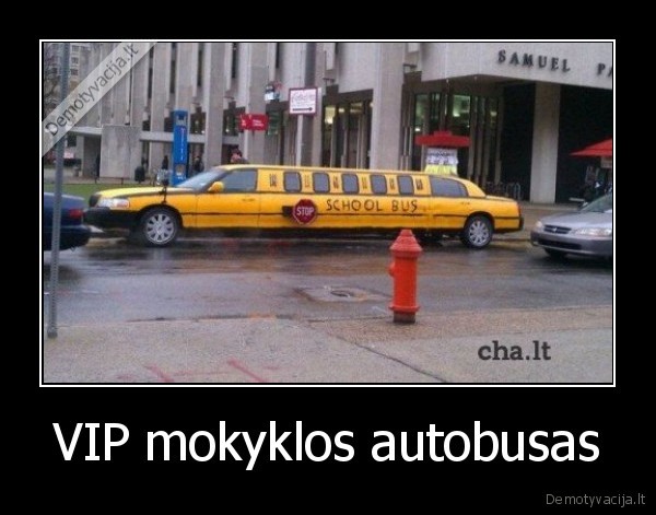 VIP mokyklos autobusas - 