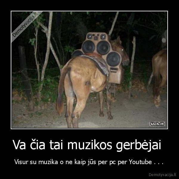 Va čia tai muzikos gerbėjai  - Visur su muzika o ne kaip jūs per pc per Youtube . . .