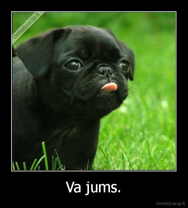 Va jums. - 